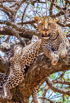 Serengeti National Park