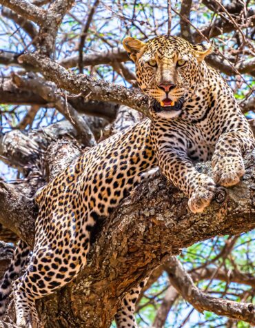 Serengeti National Park