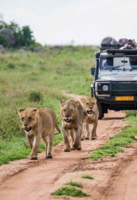 Ngorongoro Conservation Area