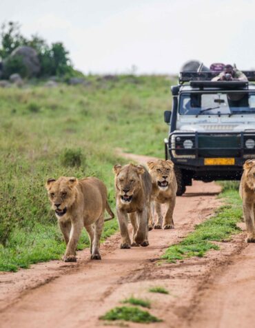 Ngorongoro Conservation Area